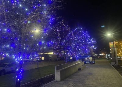Kalagan Outdoor Design blue lights in trees