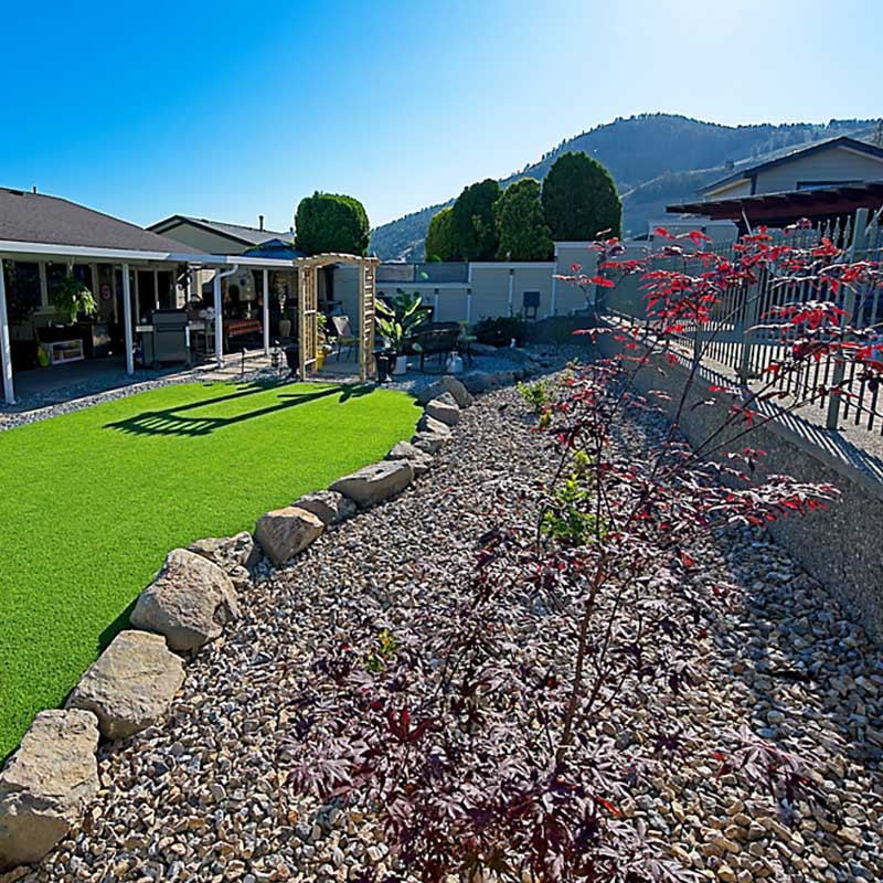Kalagan Outdoor Design Pool Xeriscape with japanese maple